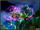 Booty Bay Fireworks