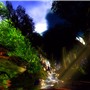 ..::JadeForest::..