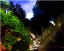 ..::JadeForest::..