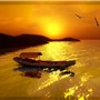 Before night falls