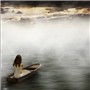 Voyage