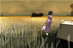 Morning in the far away with Miko Xue