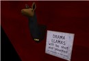 Drama Llama