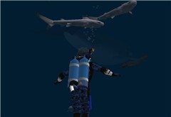 Scuba 4