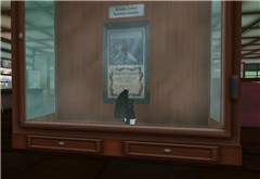 Bat Under Glass
