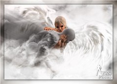 Fallen Angel