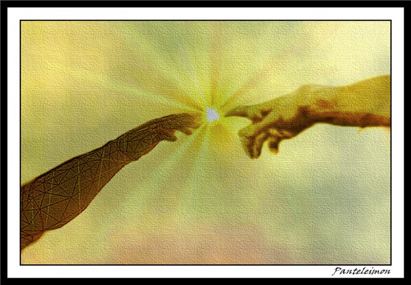 CREATION OF AVATAR detail