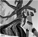 tree 1