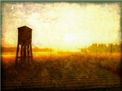 Harvest