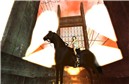 Snapshot_046-080805