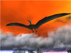 Pteranodon (1)