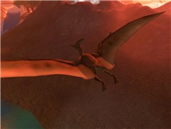 Pteranodon (7)