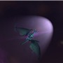 Dragon star