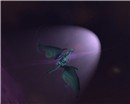 Dragon star