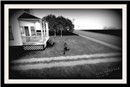 Country Livin