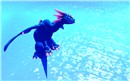 Into the blue