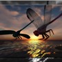 Dragonflies
