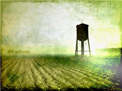A field is a field, is a field...