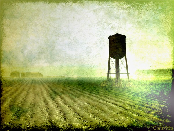 A field is a field, is a field...
