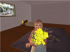 Snapshot_016