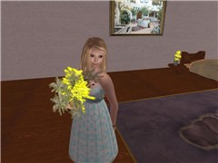 Snapshot_017