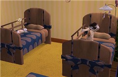 Childs room