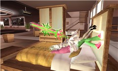 acrobats in the bedroom - Torley Olmstead