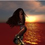 Red Sea & Sun