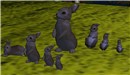 Join Burt and the rabbits! - Koinup Burt