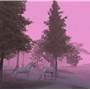 Foggy