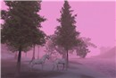 Foggy