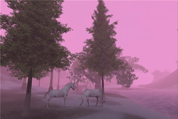 Foggy
