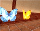 Snapshot_113