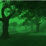 foggy 2