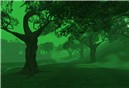 foggy 2