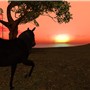 gazing at the sun