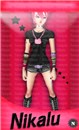 Nikalu Barbie Box copy