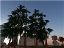 Snapshot_121