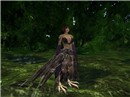 Snapshot_129