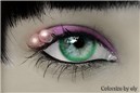 colorize1