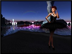 SL-BlackSwan2