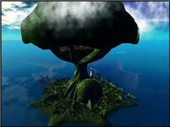 SL-LocoPocosIsland3