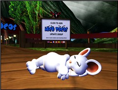 SL-LocoPocosIsland2