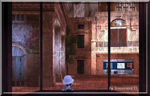 shop venezia 