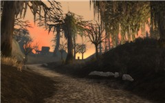 Dustwallow Marsh