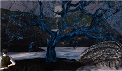 The msnook tree - Koinup Burt