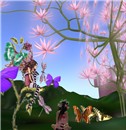 Rubi Butterflies 2