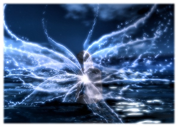 fae wings 2