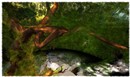 Le puits - The well