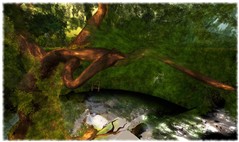 Le puits - The well